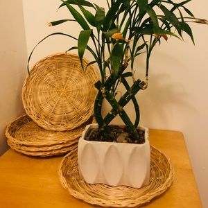 Bamboo Decorative Plant Saucer Trays (Set of 5)